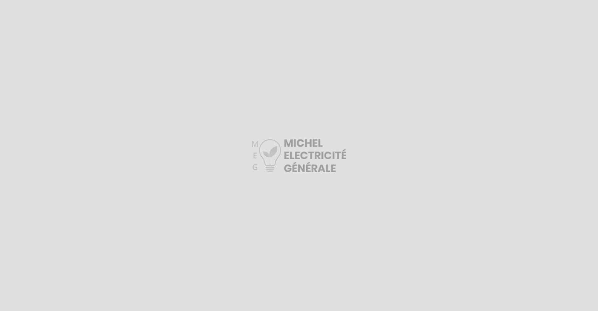Logo MEG (Michel Électricité Générale) : ampoule stylisée contenant une feuille. L'icône symbolise les services d'électricité générale.